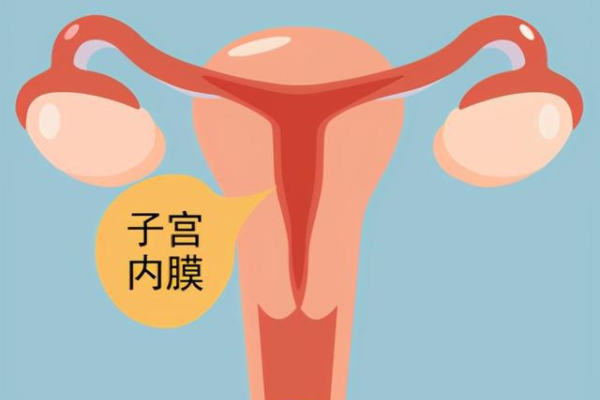 合肥借卵包成功,北京朝阳医院试管婴儿费用多少？2023
年试管价格表_试管移植