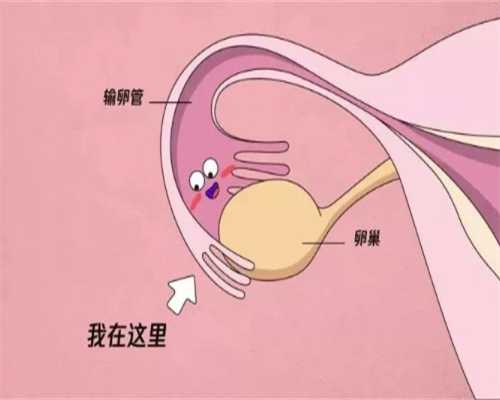 安徽代生包女宝服务,安徽三代试管婴儿的费用是多少安徽做供卵三代试管婴儿多少钱