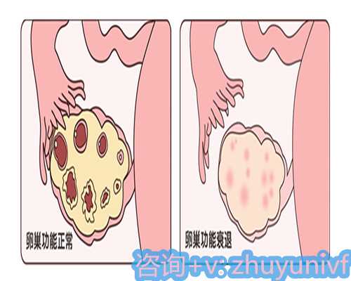 安徽如何甄选试管助孕公司？2026年正规供卵助孕机构推荐与费用参考