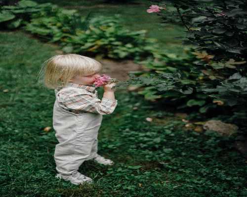 安徽区域内辅助生殖技术解析：南昌私立医院试管婴儿成功率与流程指南