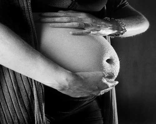 龙眼在孕期的食用安全性探究