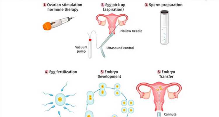 安徽省供卵试管婴儿代怀生子热门机构解析，最新助孕指南