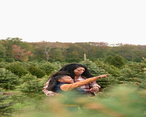 备孕怀女孩:同房间隔与科学备孕指南