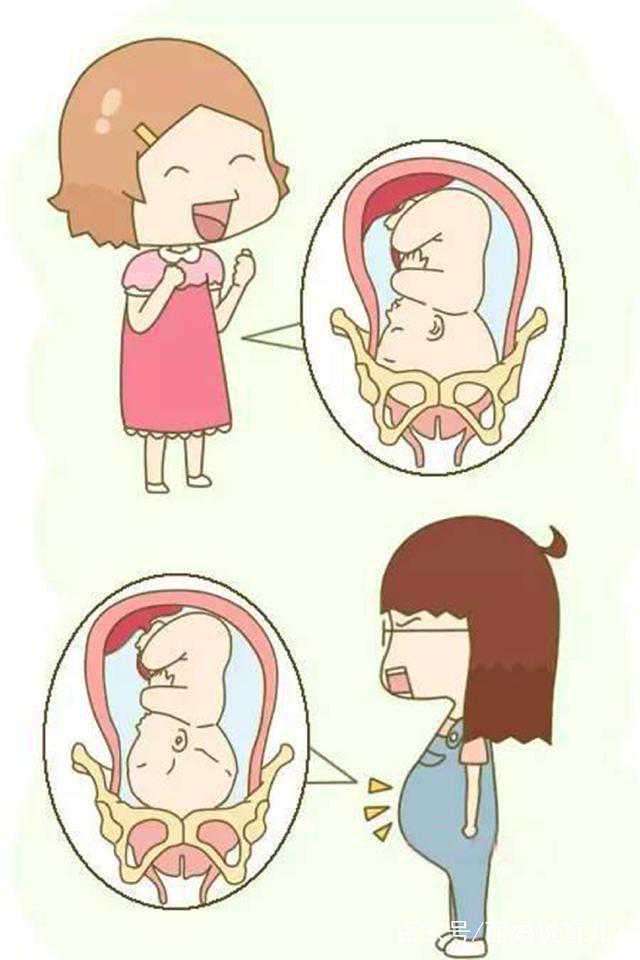 安徽助孕生育指南：公立医院排名及借卵费用明细