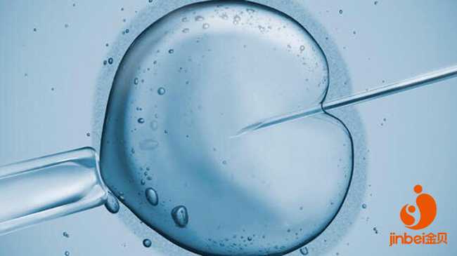 试管婴儿胚胎冷冻技术原理